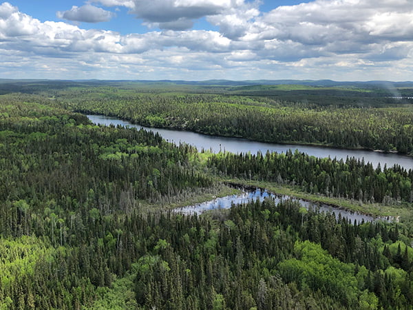 Jeff Mcgirr Plane View Of Forest