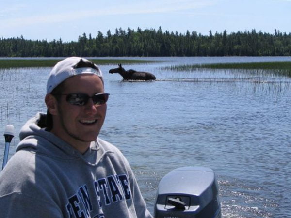 Moose Ellen Island Wildlife