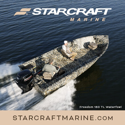 Noto Digital Ads Starcraft Pop Up Aspect Ratio 438 438