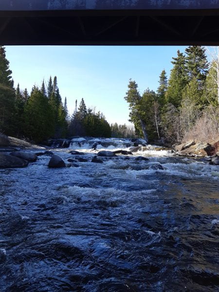 Northern Walleye Rapids