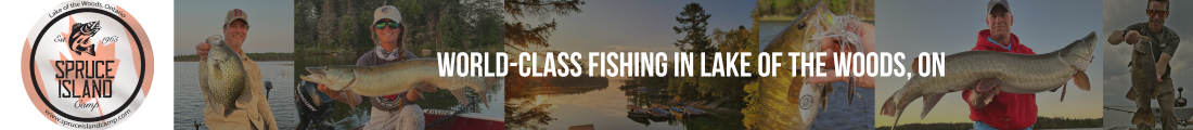 World Class Fishing And Hunting In Lake Of The Woods On Aspect Ratio 1100 120